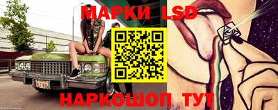 стаф Будённовск